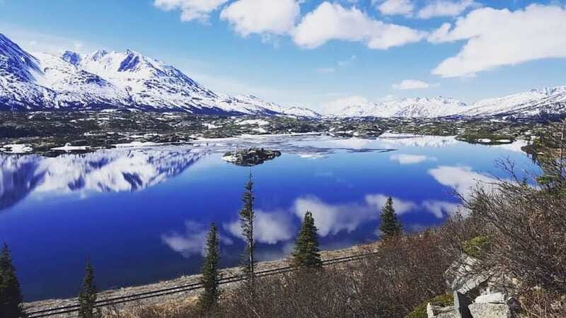 From Skagway: Wild Adventure Yukon Day Trip with BBQ Lunch - Wild Adventure Yukon (formerly Caribou Crossing): museum, pets, and the included BBQ
