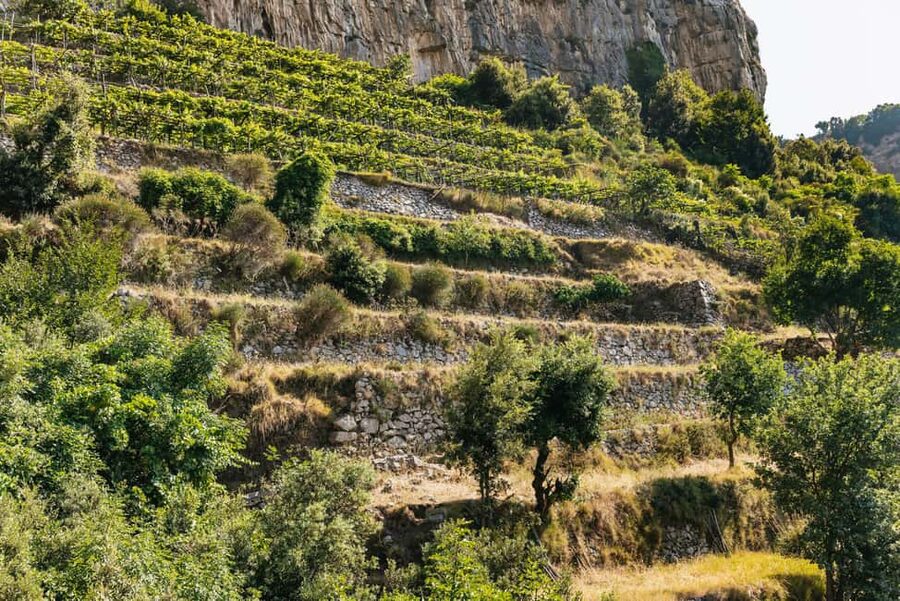 From Sorrento: Path of the Gods Guided Hike with Transfers - Price and value: is $94 fair for Sorrento to Amalfi?