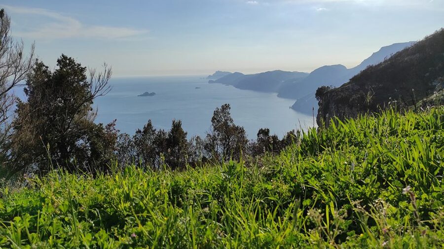 From Sorrento: Path of the Gods Hike with Tasting Stop - Hiking the Path of the Gods: Views, Ruins, and Vineyards at 650m