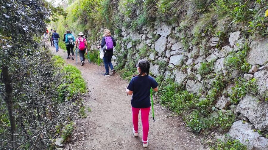 From Sorrento: Path of the Gods Hike with Tasting Stop - The Shepherd’s Refuge Tasting Stop: Snack Break With Real Local Flavor