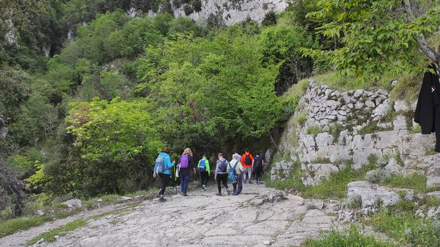From Sorrento: Path of the Gods Hike with Tasting Stop - Trekking Poles and Shoes: The Gear That Actually Matters