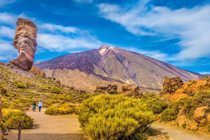 From South Tenerife: Mount Teide Hiking Day Trip & Cable Car - Inside Teide National Park: what the 2-hour stop really gives you