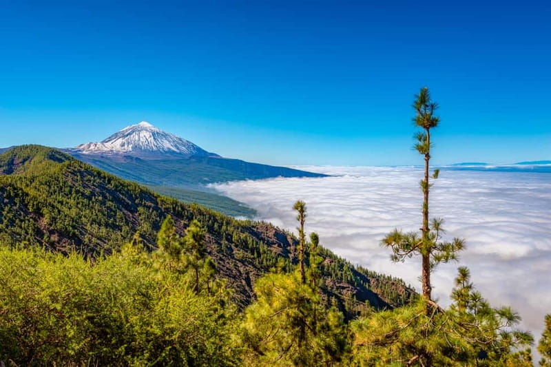 From South Tenerife: Mount Teide Hiking Day Trip & Cable Car - Summit breaks, the crater permit, and Roques de García photos