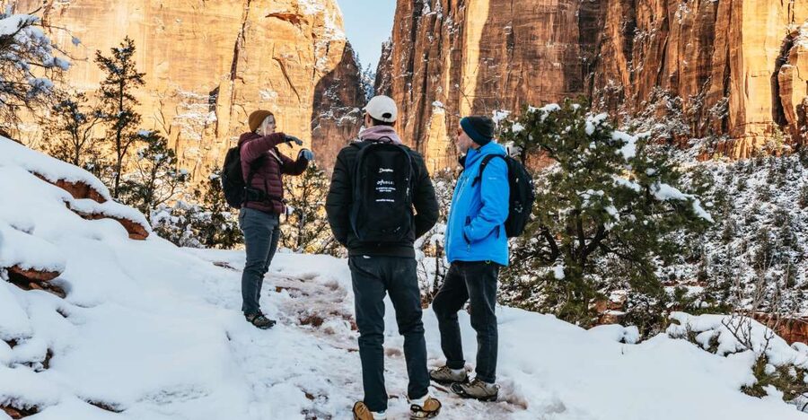 From Springdale: 4-hour Zion Canyon Scenic Hiking Tour - Key things that make this Zion Canyon hike worth it