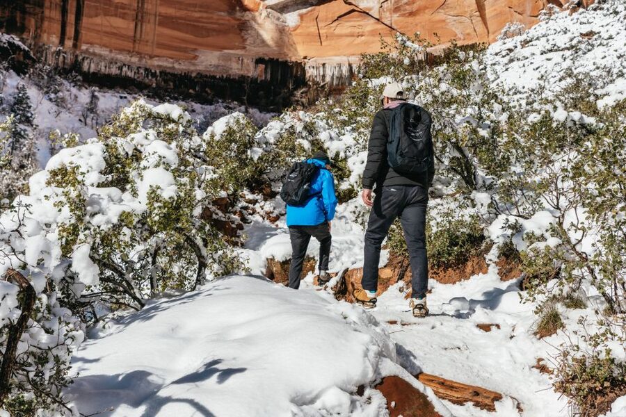 From Springdale: 4-hour Zion Canyon Scenic Hiking Tour - What your guide actually does on the trail