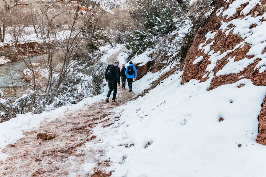 From Springdale: 4-hour Zion Canyon Scenic Hiking Tour - Emerald Pools and Weeping Rock: classic stops that fit real schedules