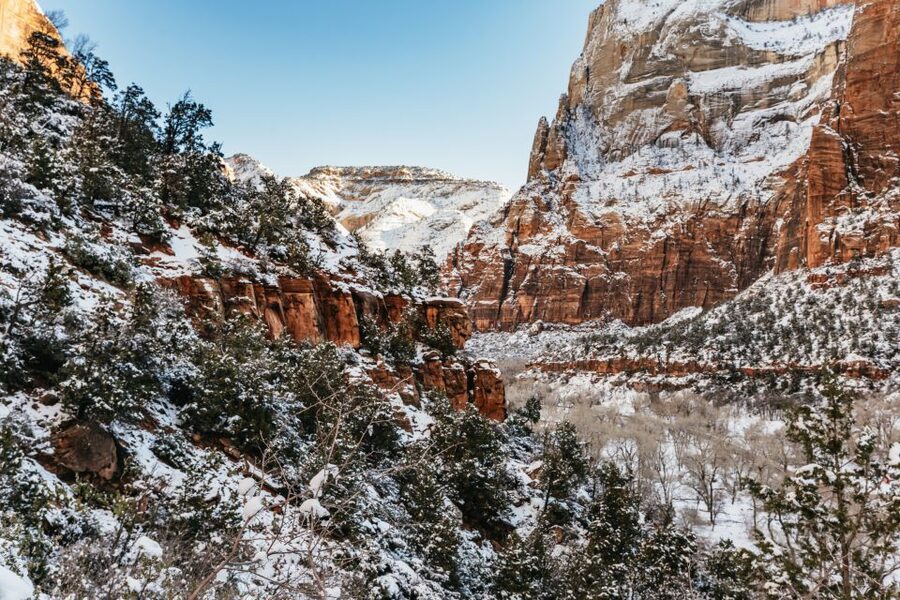 From Springdale: 4-hour Zion Canyon Scenic Hiking Tour - The red-rock views: why going inside the park changes everything