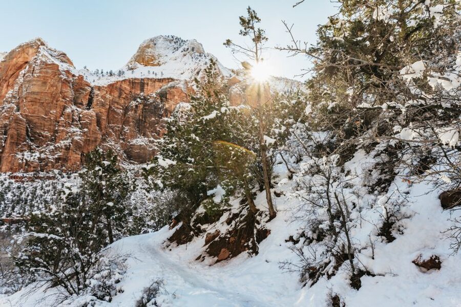 From Springdale: 4-hour Zion Canyon Scenic Hiking Tour - Price and value: what $196 really covers (and what to budget)
