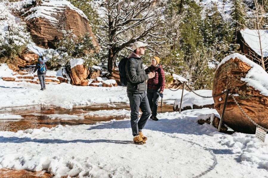 From Springdale: 4-hour Zion Canyon Scenic Hiking Tour - What to bring so the hike feels good, not miserable
