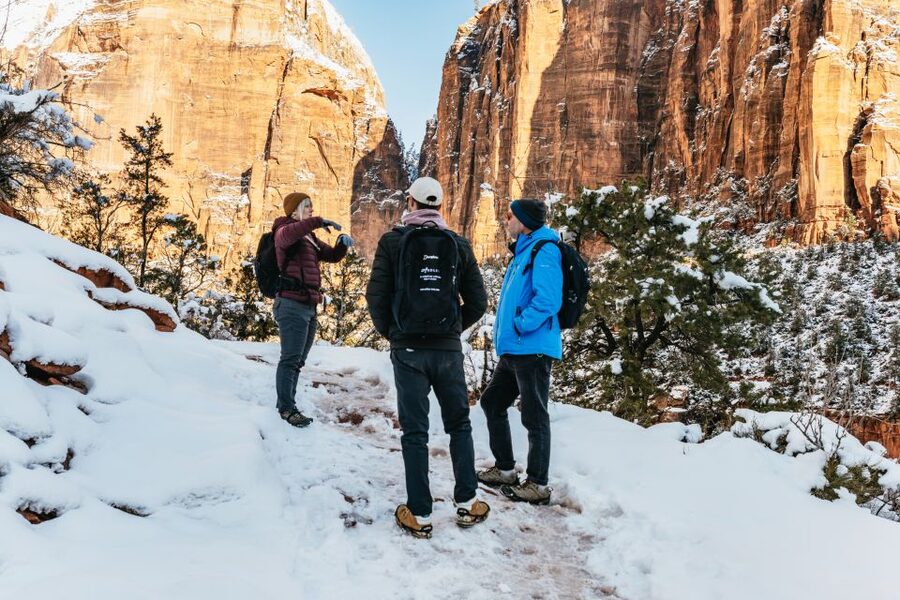 From Springdale: 4-hour Zion Canyon Scenic Hiking Tour - The 4-hour rhythm: how the tour stays fun, not frantic