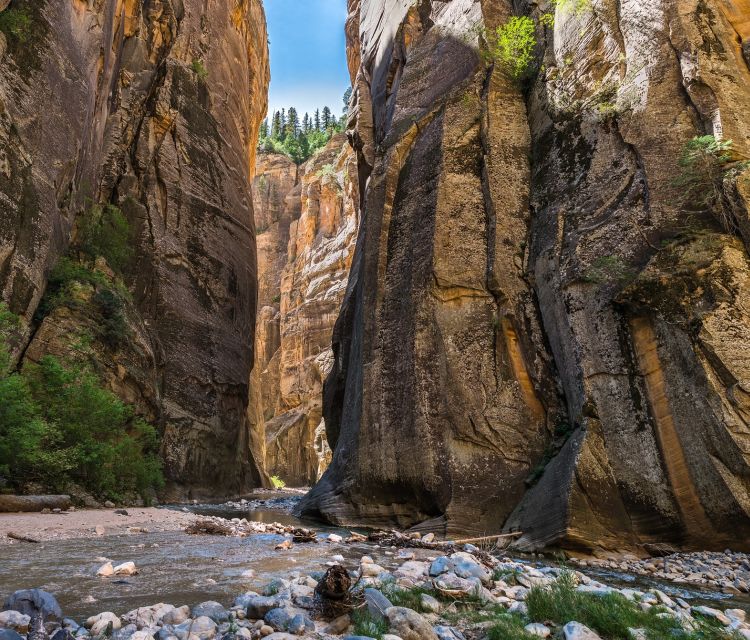 From Springdale: The Zion Narrows Hike with Lunch - Key highlights worth getting excited about