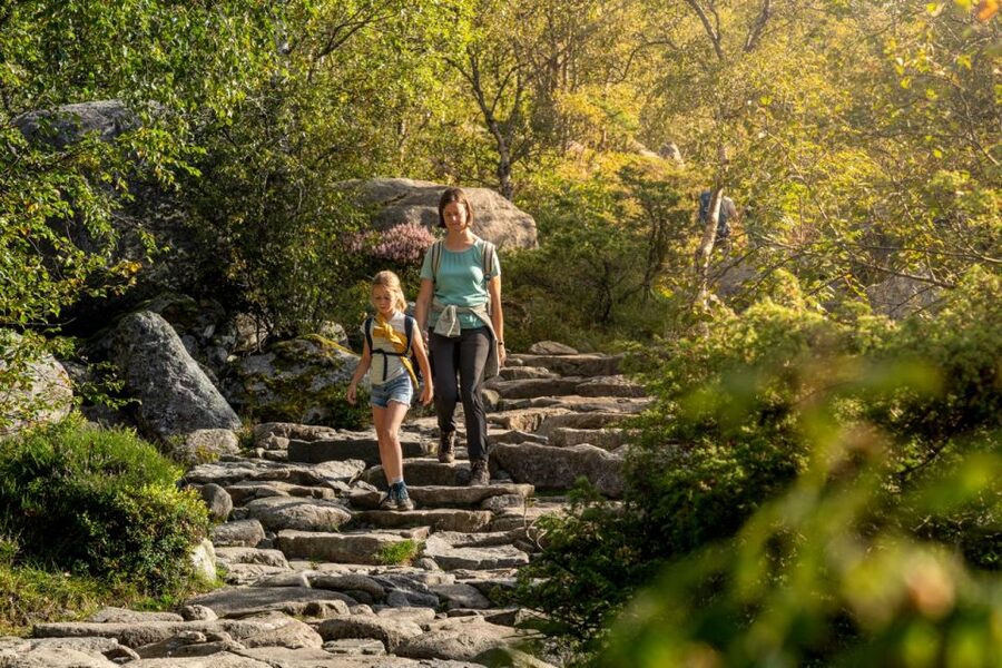 From Stavanger: Pulpit Rock Guided Hike with Pickup - When the conditions allow: the forest “secret trail” factor