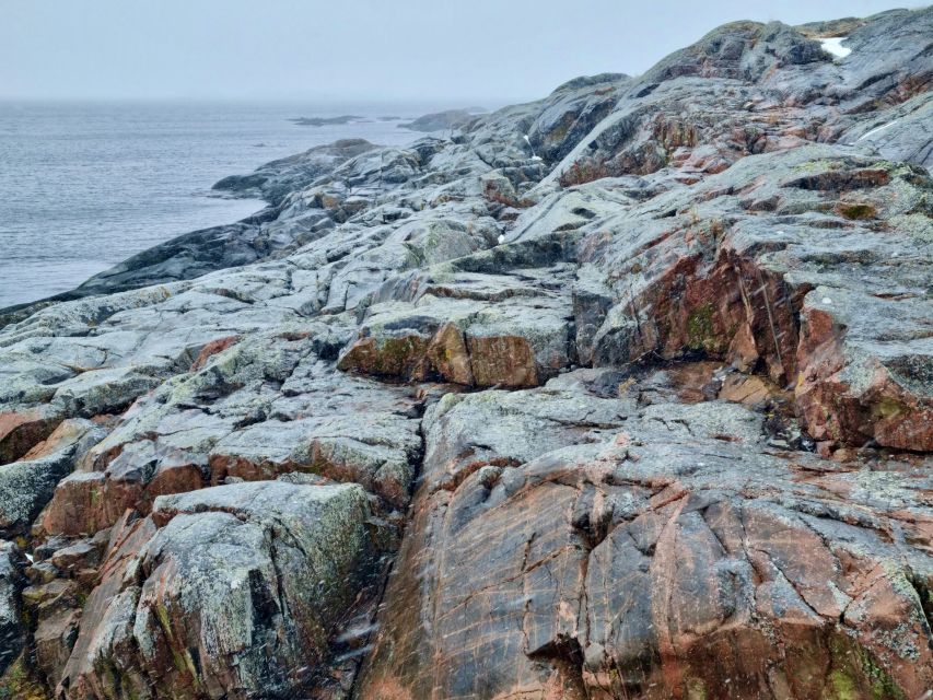 From Stockholm: Archipelago Hike to Landsort Lighthouse - The 11 km hike: rocks, forest, birds, and that natural pool stop