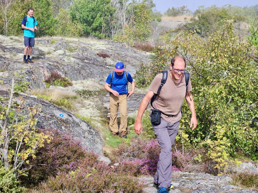 From Stockholm: Archipelago Hike to Landsort Lighthouse - Lunch and fika: outdoor food with real island timing