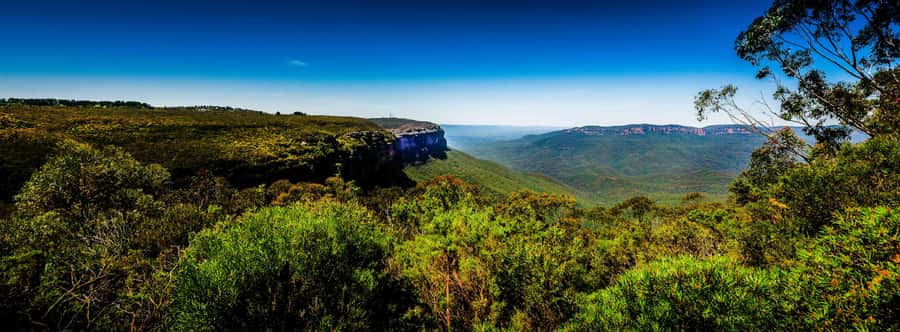 From Sydney: Blue Mountains Small-Group Tour Picnic & Hike - Jamison Valley viewpoint time: short stop, big payoffs