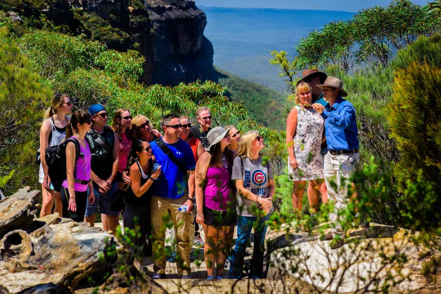 From Sydney: Blue Mountains Small-Group Tour Picnic & Hike - Pacing, group size, and what to bring for a long day