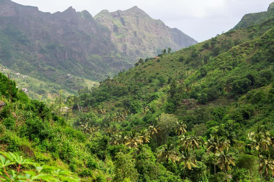 From Tarrafal: Serra to Principal Hike & Lunch with locals - Inside the hike: what the guide will point out