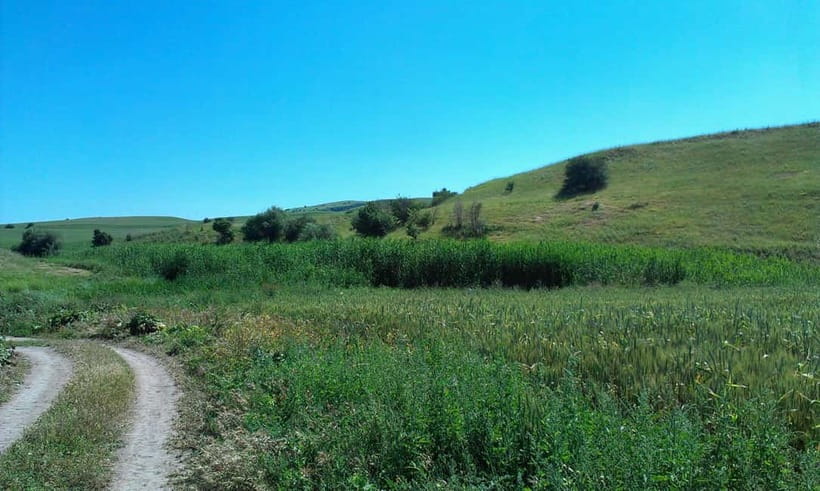 From Tashkent: Chimgan Valley Hiking Day Trip - Key Things I’d Bet on Before You Go