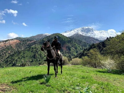 From Tashkent: Chimgan Valley Hiking Day Trip - Chimgan Valley Highlights: Snow Peaks and Turquoise Lakes