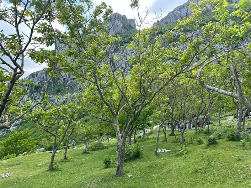 From Tirana: Bovilla Lake & Gamti Mountain Viewpoint Hike - Gamti Mountain hike: short distance, real viewpoint payoff