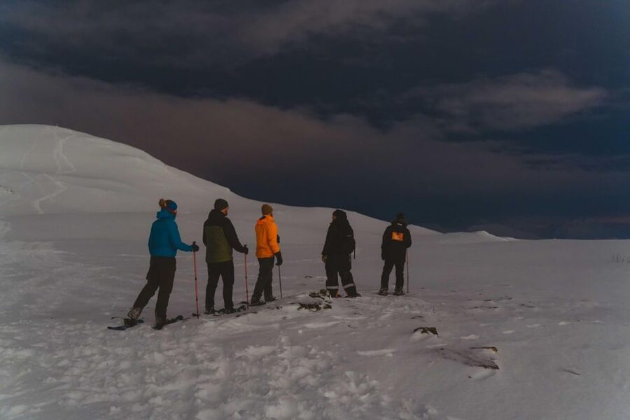From Tromsø: Evening Fjellheisen Snowshoe Hike and Cable Car - Key things I’d circle before you book