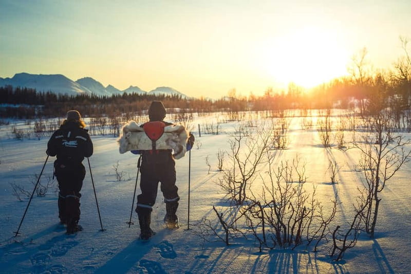 From Tromsø: Guided Husky Snowshoe Hike and Husky Camp Visit - Key Highlights You’ll Care About