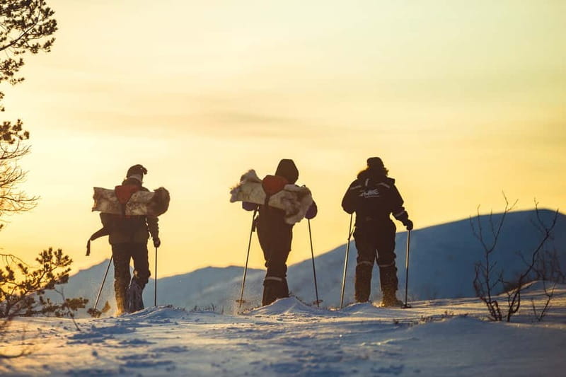 From Tromsø: Guided Husky Snowshoe Hike and Husky Camp Visit - Price and value: what $187 buys you in real terms