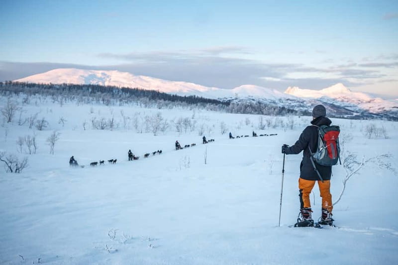 From Tromsø: Guided Husky Snowshoe Hike and Husky Camp Visit - From Tromsø to the Arctic: how this 5-hour day actually flows