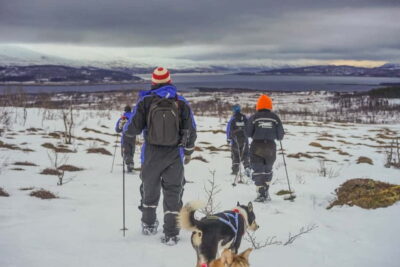 From Tromsø: Guided Husky Snowshoe Hike and Husky Camp Visit - Meeting Point at Radisson Blu: timing that can make or break your day