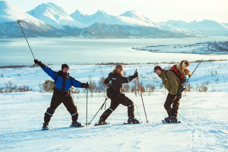 From Tromsø: Guided Husky Snowshoe Hike and Husky Camp Visit - The snowshoe hike: easy course, real snow, and huskies doing husky things