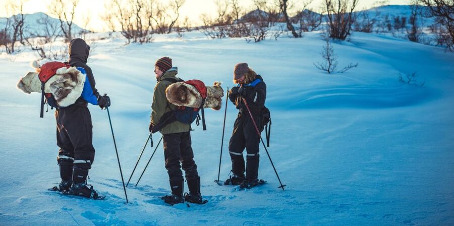 From Tromsø: Guided Husky Snowshoe Hike and Husky Camp Visit - Break time on the trail: hot drinks, cookies, and a possible chocolate cake moment