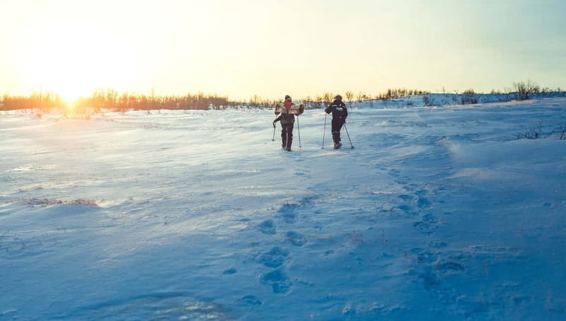 From Tromsø: Guided Husky Snowshoe Hike and Husky Camp Visit - Transportation and group size: why it feels personal rather than crowded