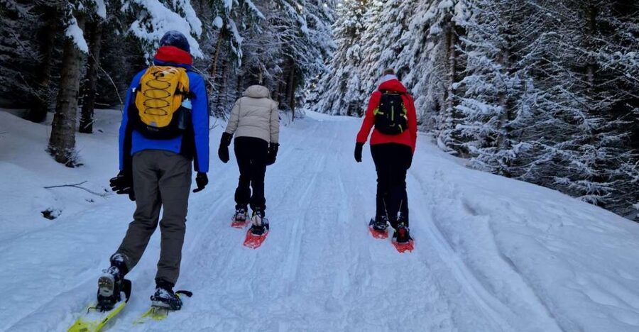 From Tromsø: Snowshoe Hike in the Arctic - Key things to know before you go