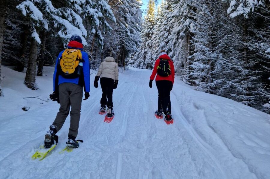 From Tromsø: Snowshoe Hike in the Arctic - Why a Tromsø snowshoe hike hits harder than you expect