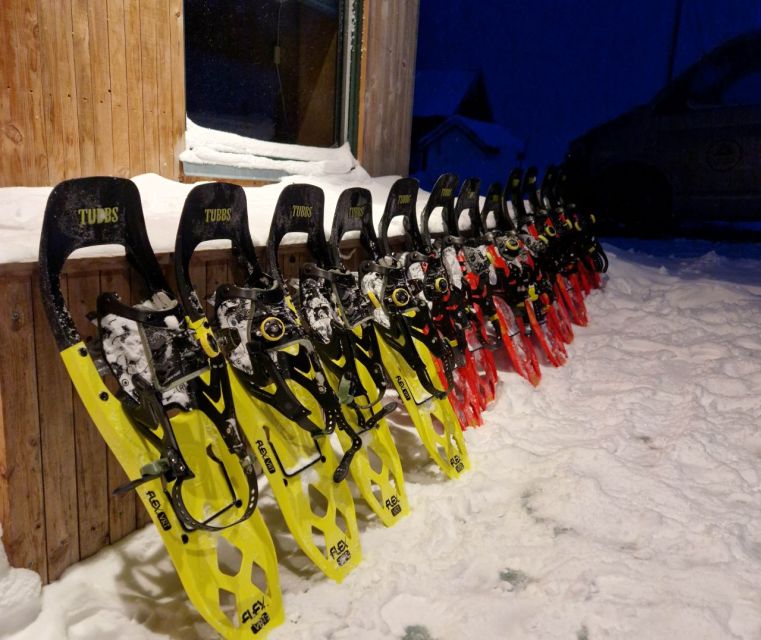 From Tromsø: Snowshoe Hike in the Arctic - Price and value: what $157 buys you (and what you avoid paying for)