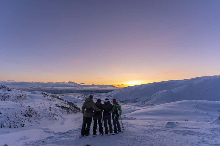 From Tromsø: Snowshoe Hike with Local Guides - Key highlights worth planning for