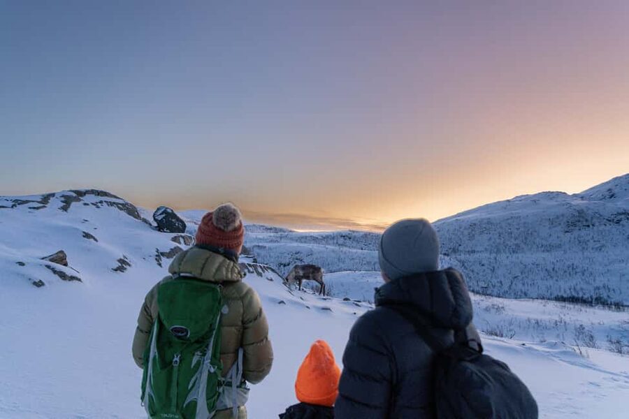 From Tromsø: Snowshoe Hike with Local Guides - From Scandic The Dock to Kvaløya: where the day actually starts