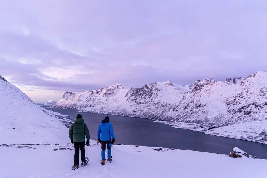 From Tromsø: Snowshoe Hike with Local Guides - Wildlife spotting: reindeer, eagles, and ptarmigans (when conditions cooperate)