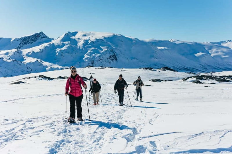 From Tromsø: Snowshoeing Hike with Picnic Lunch and Photos - From Tromsø’s hotel meeting point to the trail: the 4-hour rhythm
