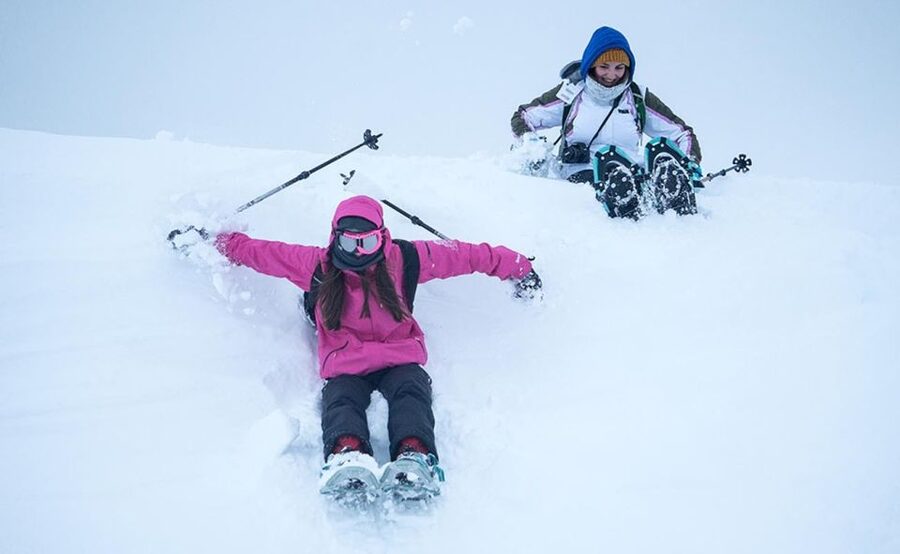 From Tromsø: Snowshoeing Hike with Picnic Lunch and Photos - The hike itself: uphill effort, wildlife scanning, and Arctic views