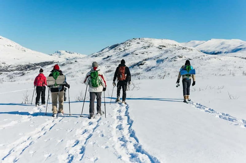 From Tromsø: Snowshoeing Hike with Picnic Lunch and Photos - Lunch in the wilderness: what’s served and why it hits