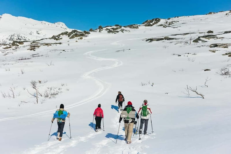 From Tromsø: Snowshoeing Hike with Picnic Lunch and Photos - Photos after the tour: a small perk that saves time and hassle