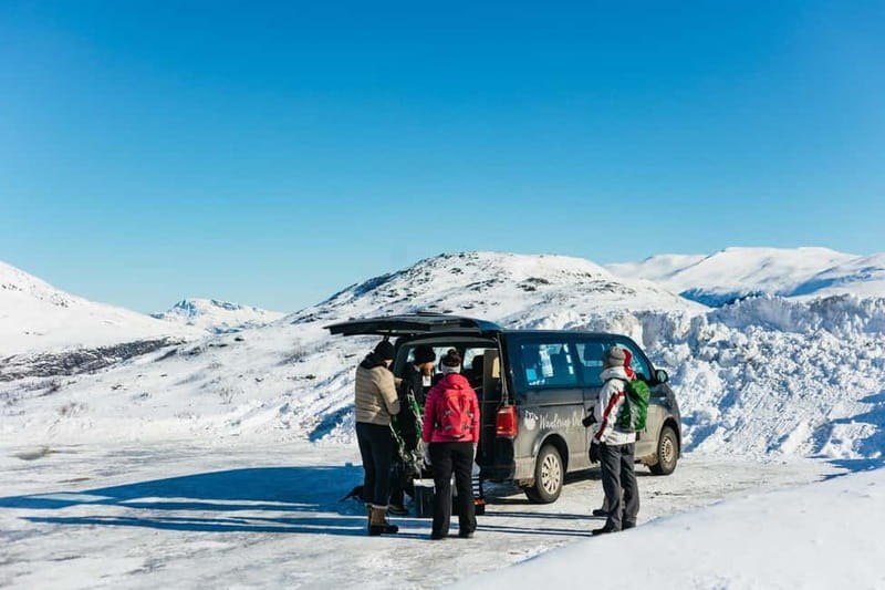 From Tromsø: Snowshoeing Hike with Picnic Lunch and Photos - Price and value: is $152 for 4 hours a fair deal?