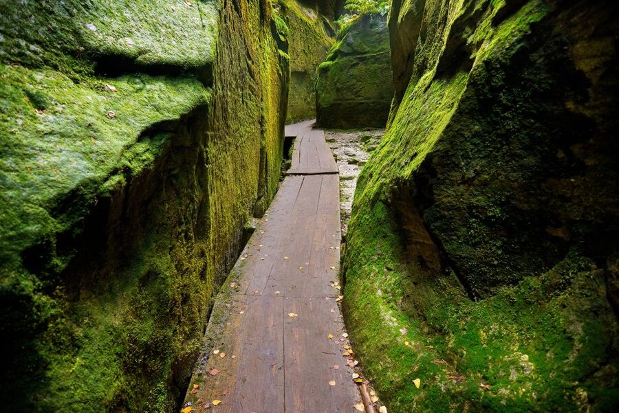 From Wroclaw: Hiking Trail in Rock City Adrspach - Price and value: what $138 per person buys (and what it doesn’t)