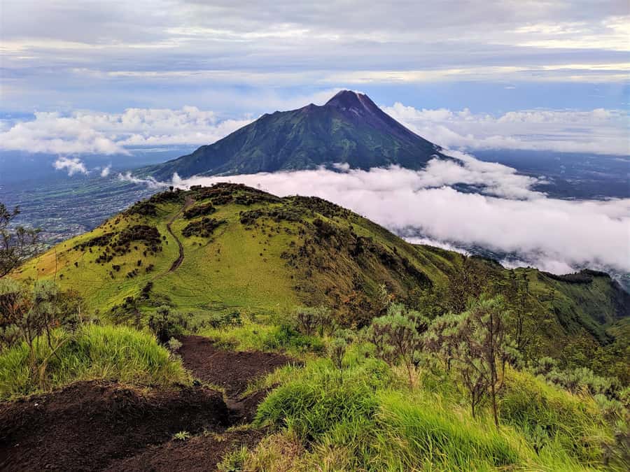From Yogyakarta: Mount Merbabu One Day Hiking Tour - Post 4 to the Summit Trail: Savannas, Wildflowers, and Cooler Air