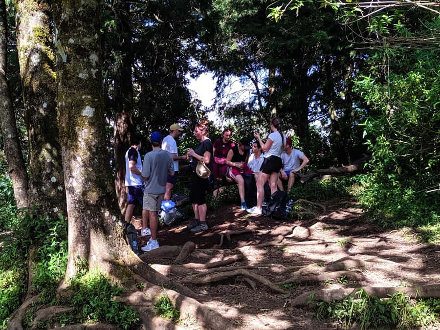 From Yogyakarta: Mount Merbabu One Day Hiking Tour - The Descent Back to Basecamp: Where Slips Happen