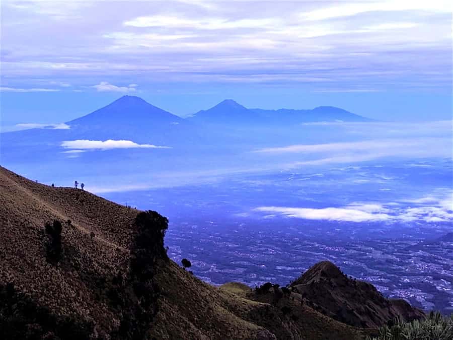 From Yogyakarta: Mount Merbabu One Day Hiking Tour - Guide Quality and Safety: How the Best Names Earn Trust