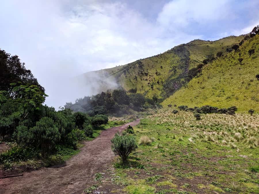 From Yogyakarta: Mount Merbabu One Day Hiking Tour - What’s Included for $61, and What Costs Extra