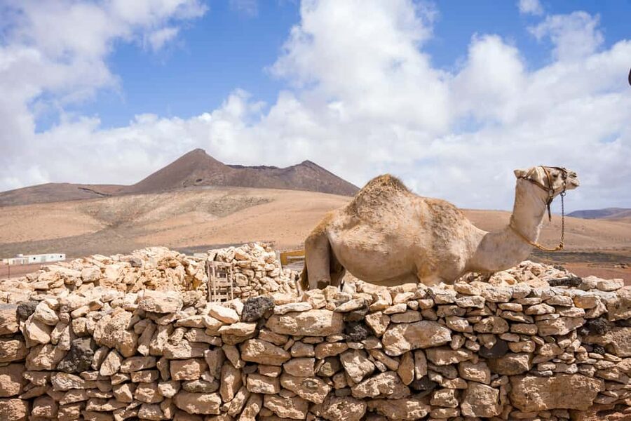 Fuerteventura: volcanic hike to the crater edge - Who this Fuerteventura hike is best for (and who should skip it)