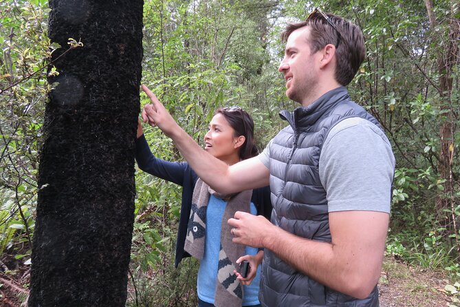 Full-Day Abel Tasman National Park Hiking Tour with Cruise - Why Abel Tasman’s hike-and-cruise day feels so efficient